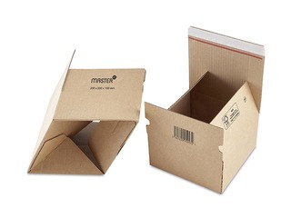 Kaste pasta sūtījumiem Master´in Access, L169 x B130 x H70 mm, kartona